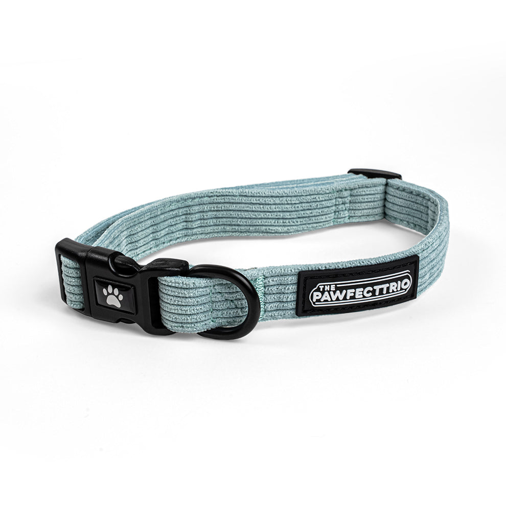 Corduroy Dog Collar