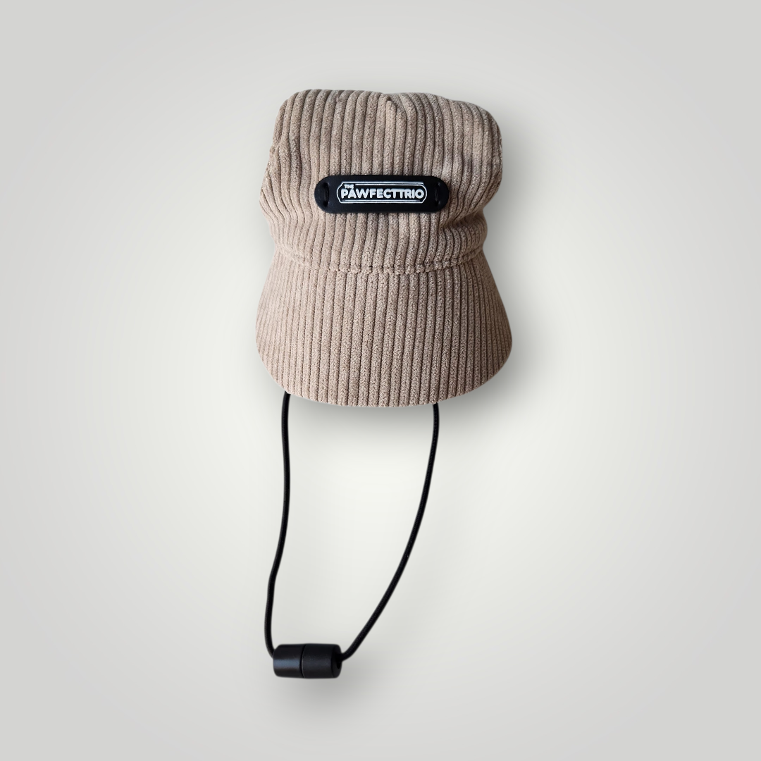 Dog hat from The Pawfect Trio pet accessories, featuring a cozy, stylish design for small dogs.