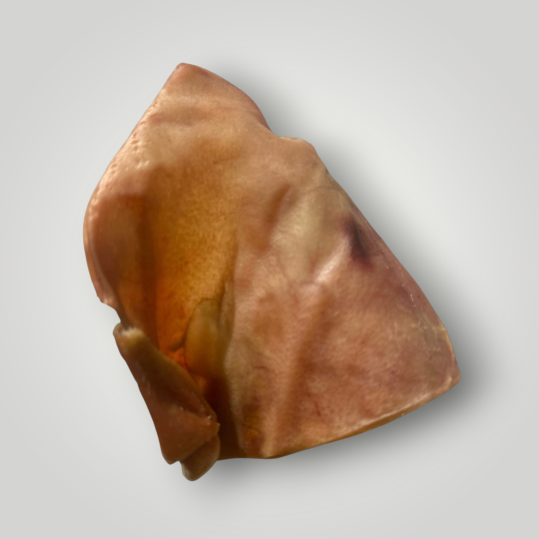 Treat Treat whole pig ear dog treat, showing a natural, dried pig ear with textured surface for canine chews.