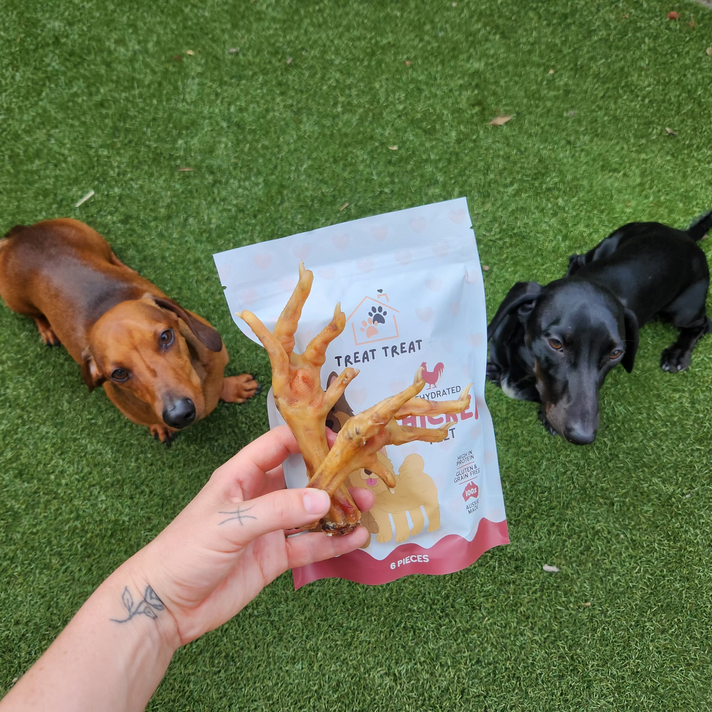 Dog treats featuring chicken feet from Treat Treat, showing crispy, natural chicken feet treats for dogs.