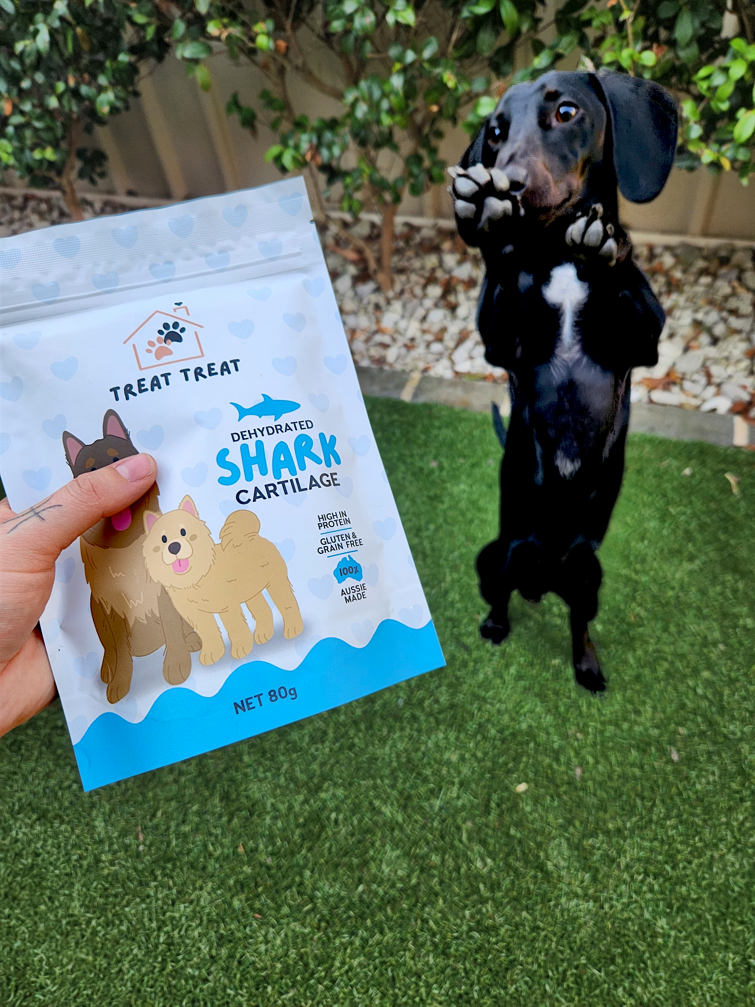 Natural Dog Treats