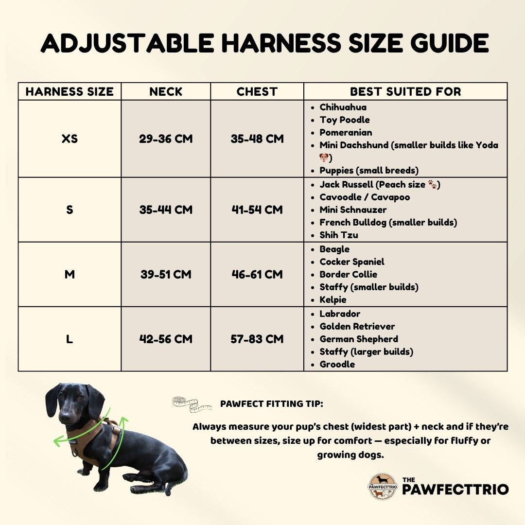 Dog bundle from The Pawfect Trio featuring an everyday walk set with harness, leash, and accessories for pets.