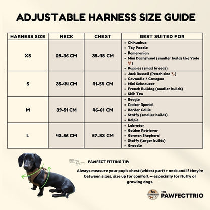 Dog bundle from The Pawfect Trio featuring an everyday walk set with harness, leash, and accessories for pets.