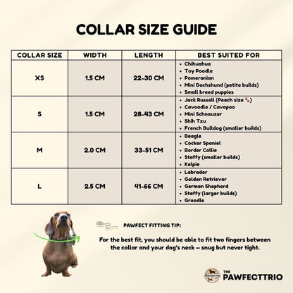 Two dogs wearing corduroy walking bundles from The Pawfect Trio, showcasing stylish and cozy dog accessories.