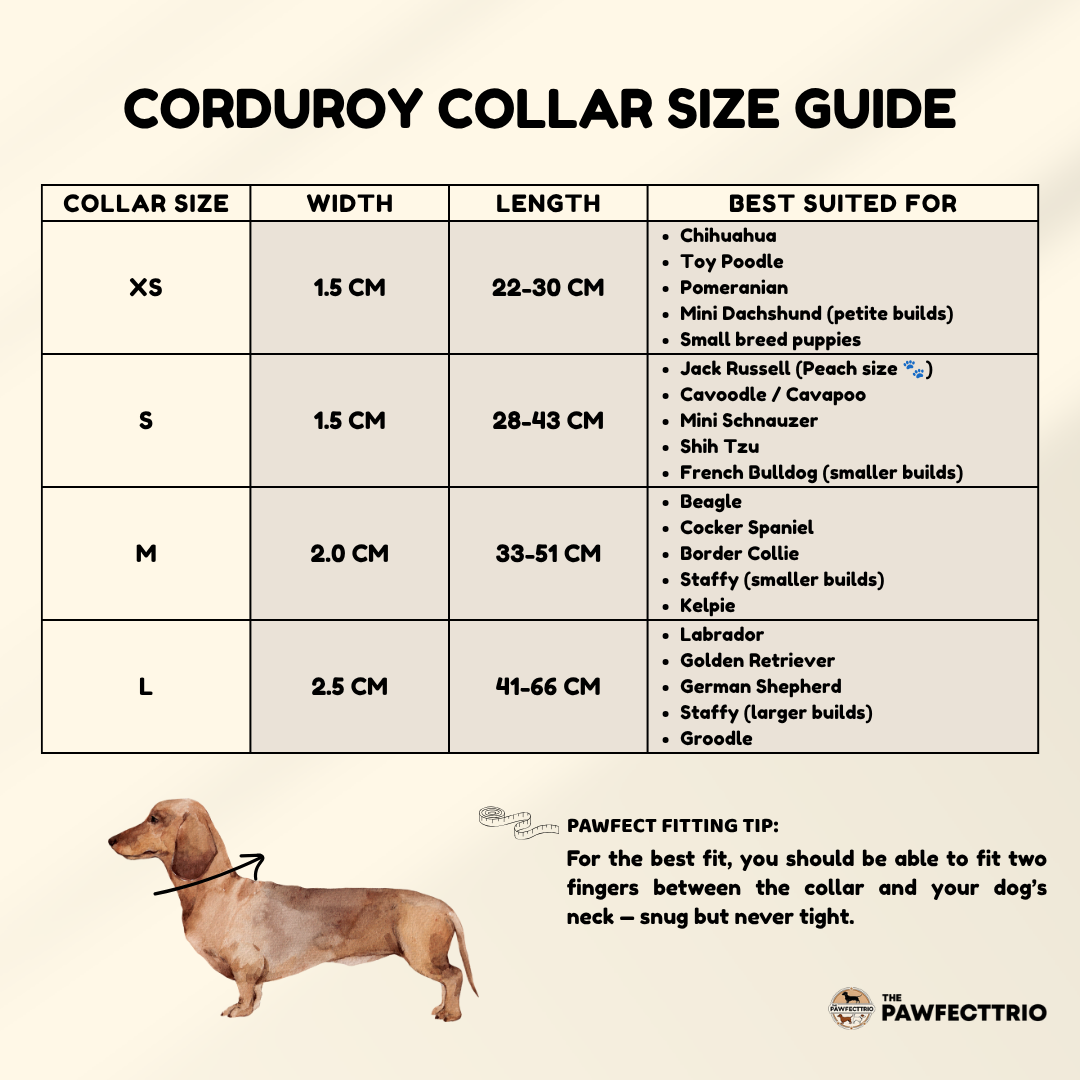 Corduroy Dog Collar