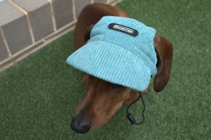 Dog hat from The Pawfect Trio pet accessories, featuring Louie wearing a stylish teal hat for dogs.