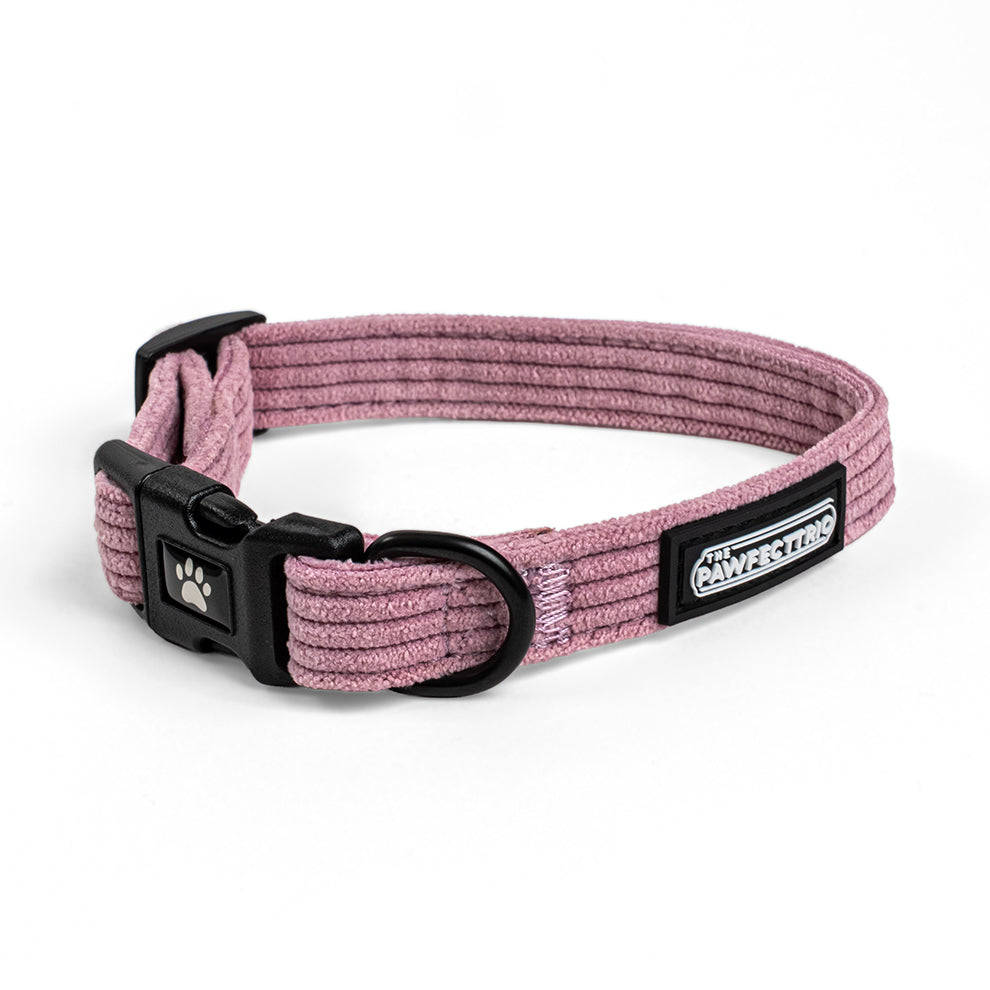 Corduroy Dog Collar