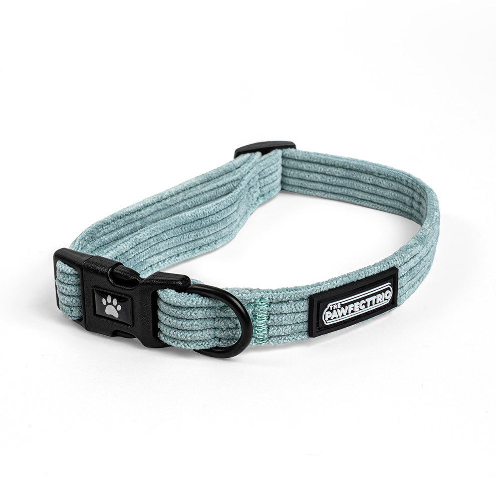 Corduroy Dog Collar