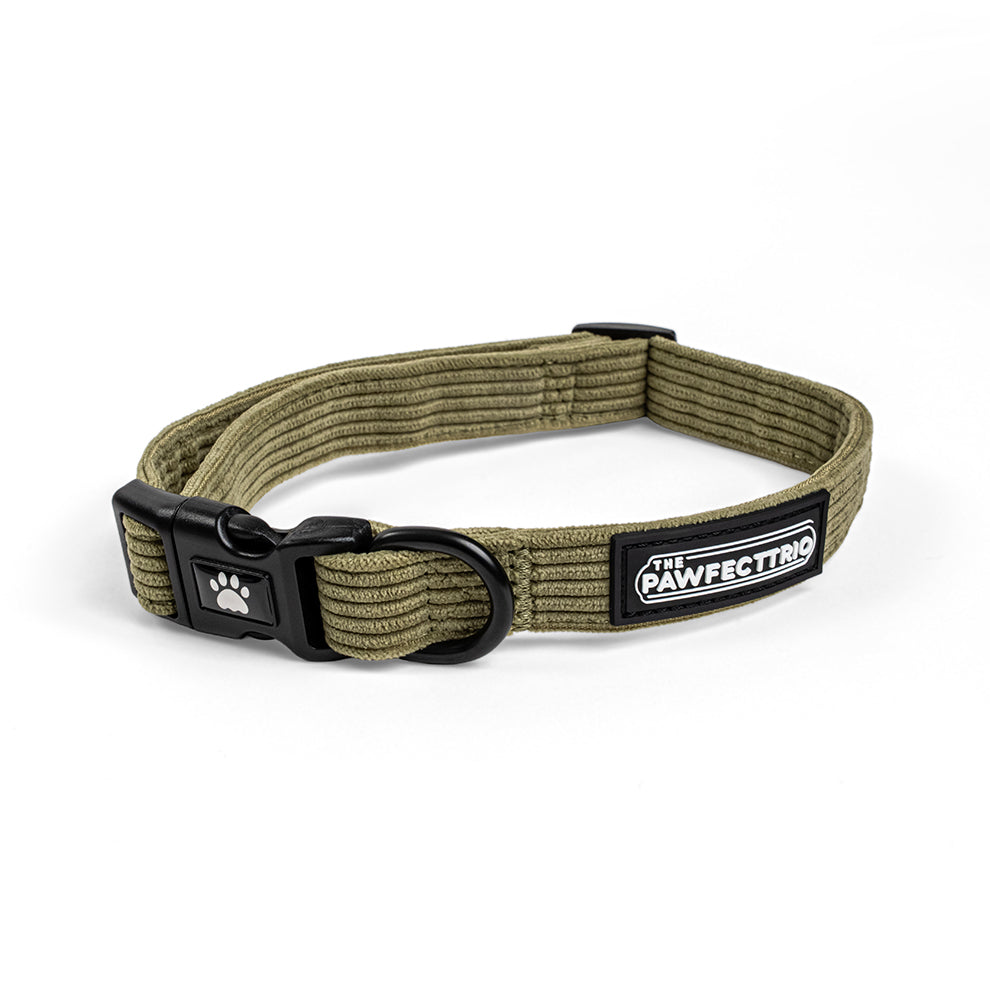 Corduroy Dog Collar