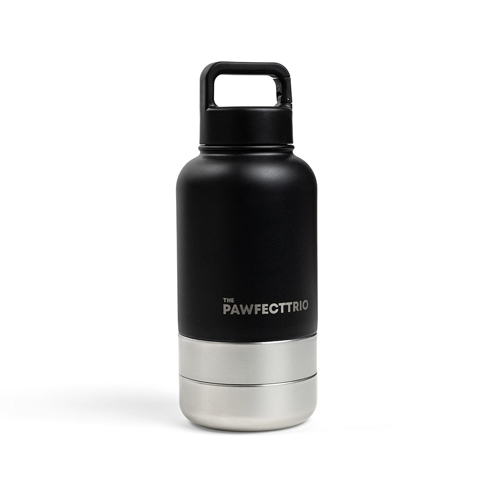 Pawfect Adventure Bottle