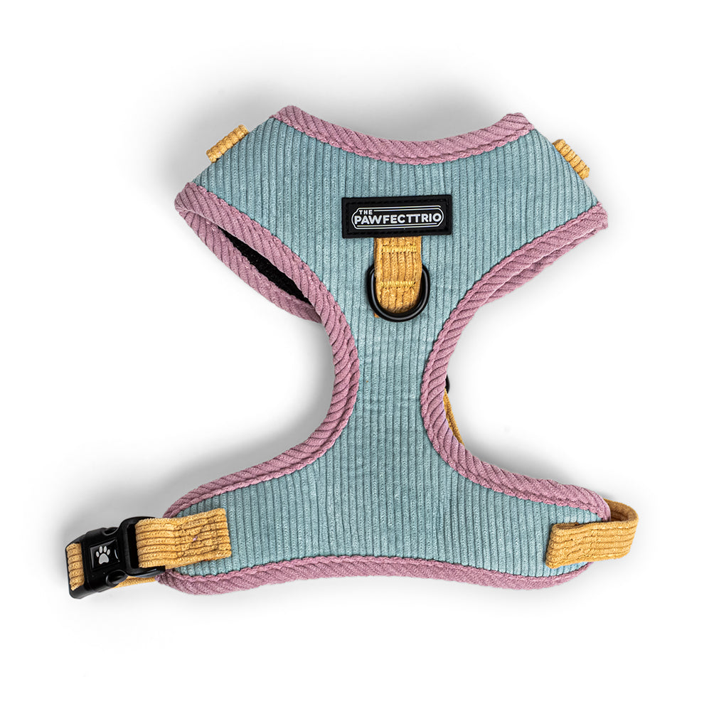 Corduroy Dog Harness