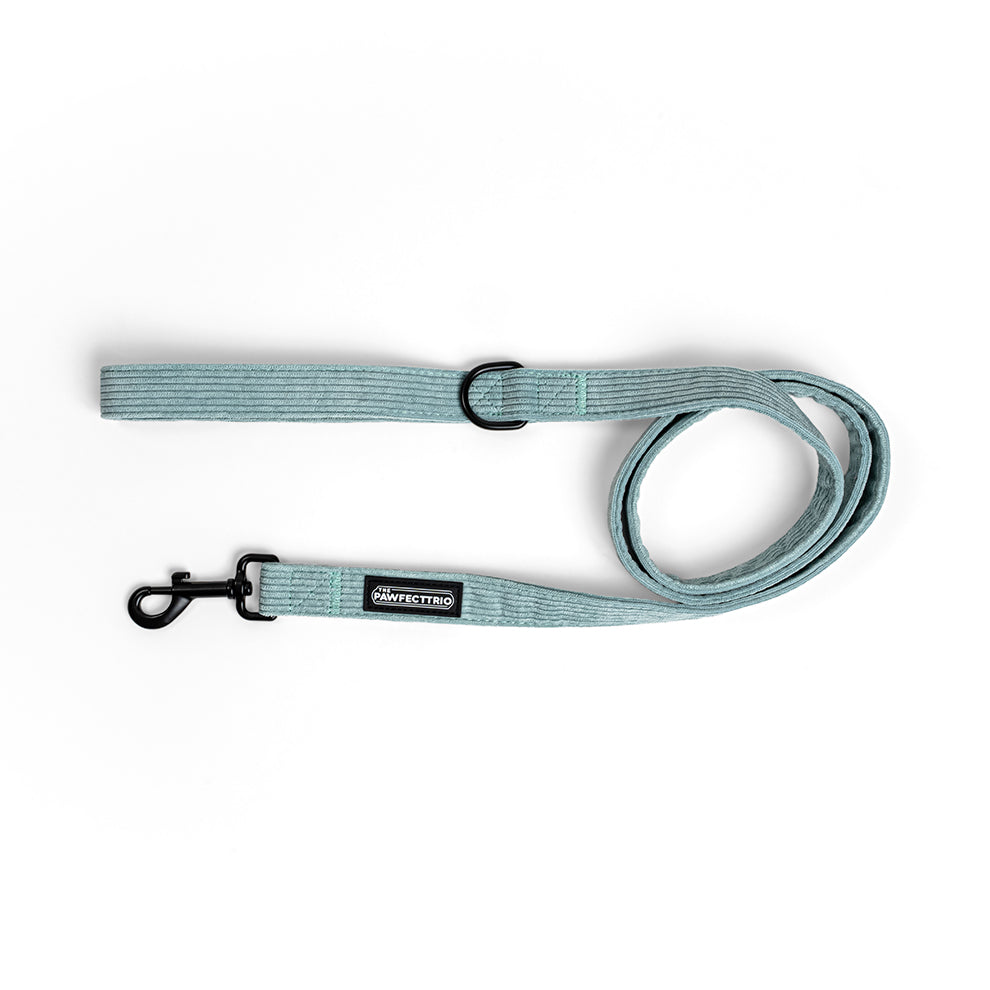 Corduroy Dog Leash