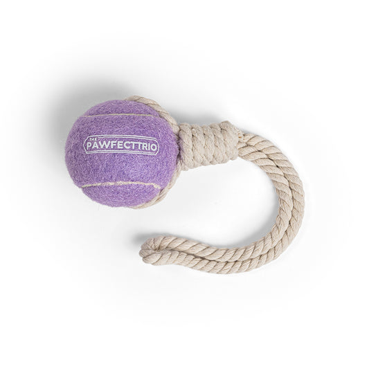 Tennis Ball Rope Toy