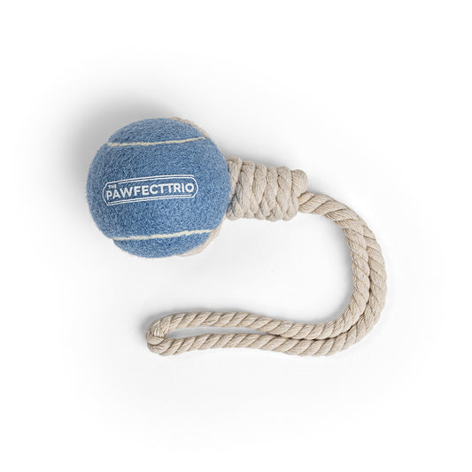 Tennis Ball Rope Toy