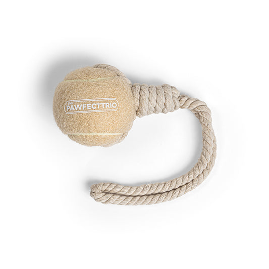 Tennis Ball Rope Toy
