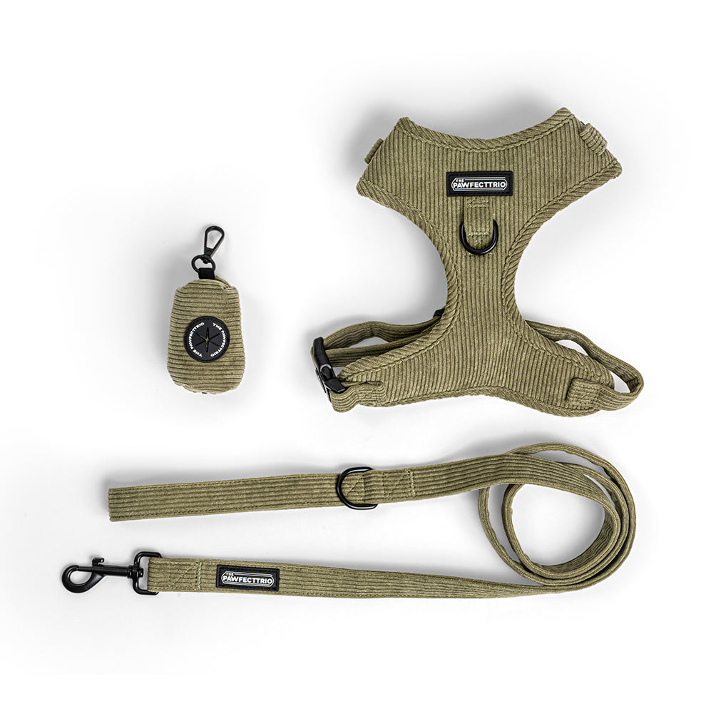 Everyday Walk Set
