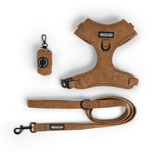 Everyday Walk Set