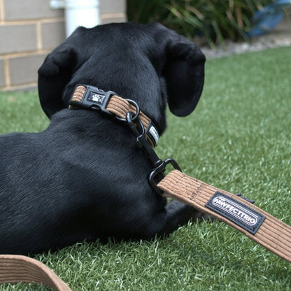 Corduroy Dog Collar - The Pawfect Trio