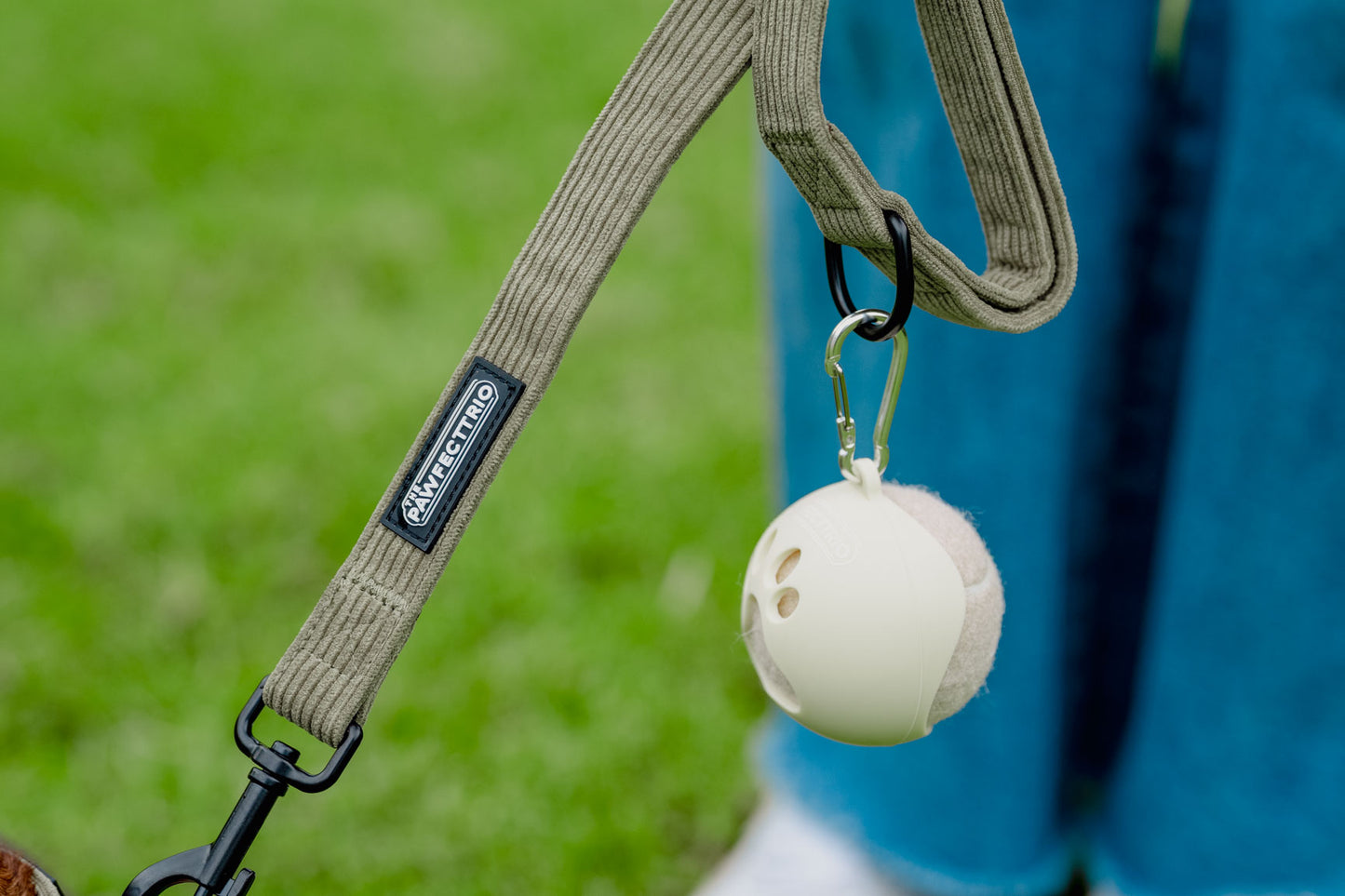 The Fetch Set