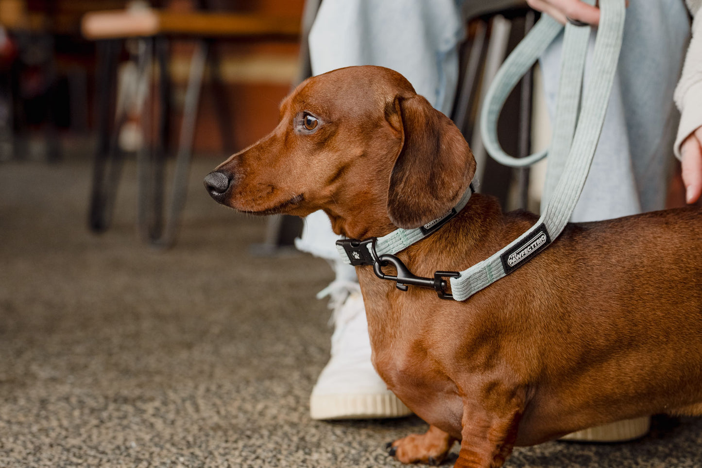Corduroy Dog Leash