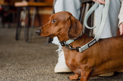 Corduroy Dog Leash