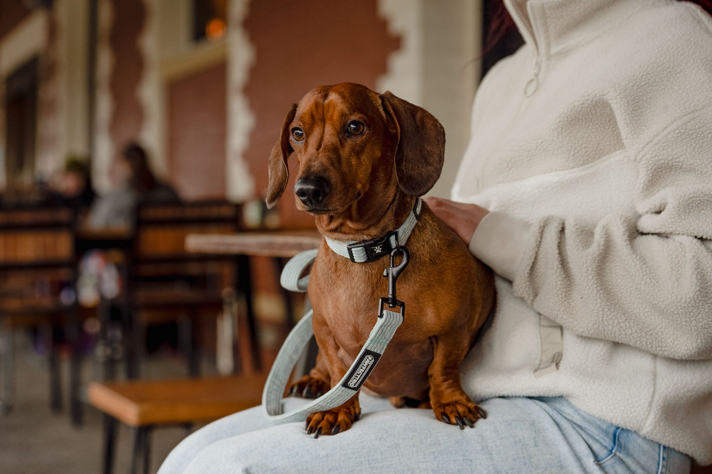 Corduroy Dog Collar