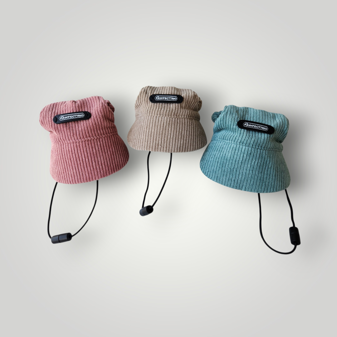 Dog Hat - The Pawfect Trio