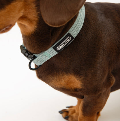 Candy-colored corduroy dog collar from The Pawfect Trio with adjustable strap and metal buckle for pet accessories.