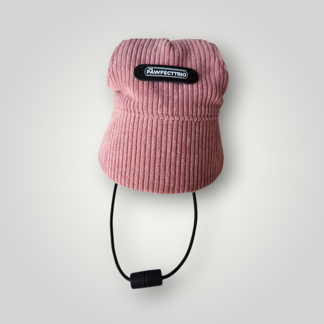 Dog Hat - The Pawfect Trio