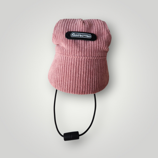 Dog Hat - The Pawfect Trio