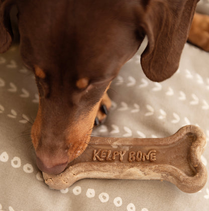 Kelpy Bone - The Pawfect Trio