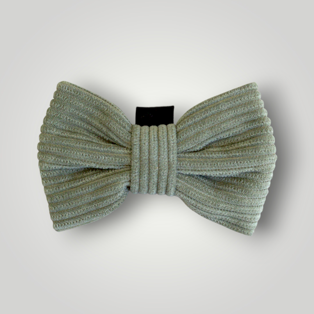 Dog Bow Tie - The Pawfect Trio