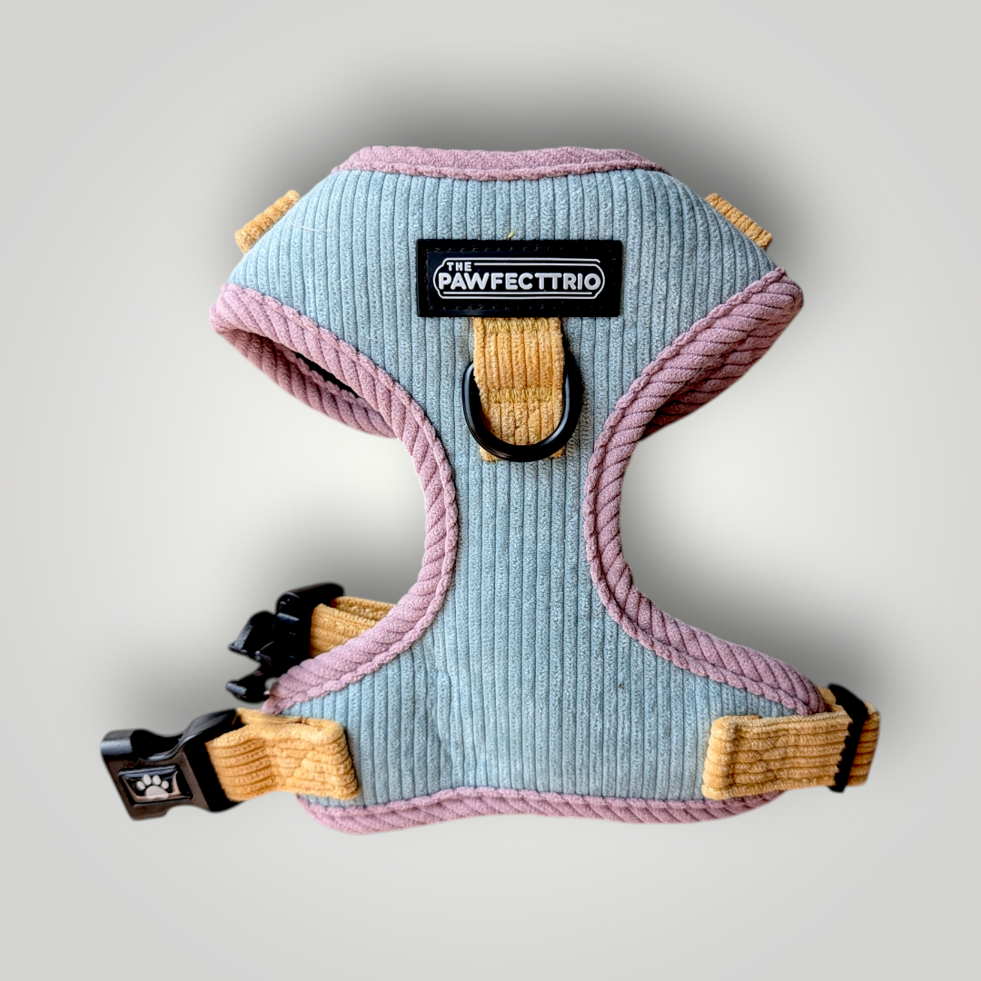 Candy corduroy dog harness by The Pawfect Trio, featuring a colorful, soft pet accessory with adjustable straps and a secure buckle.