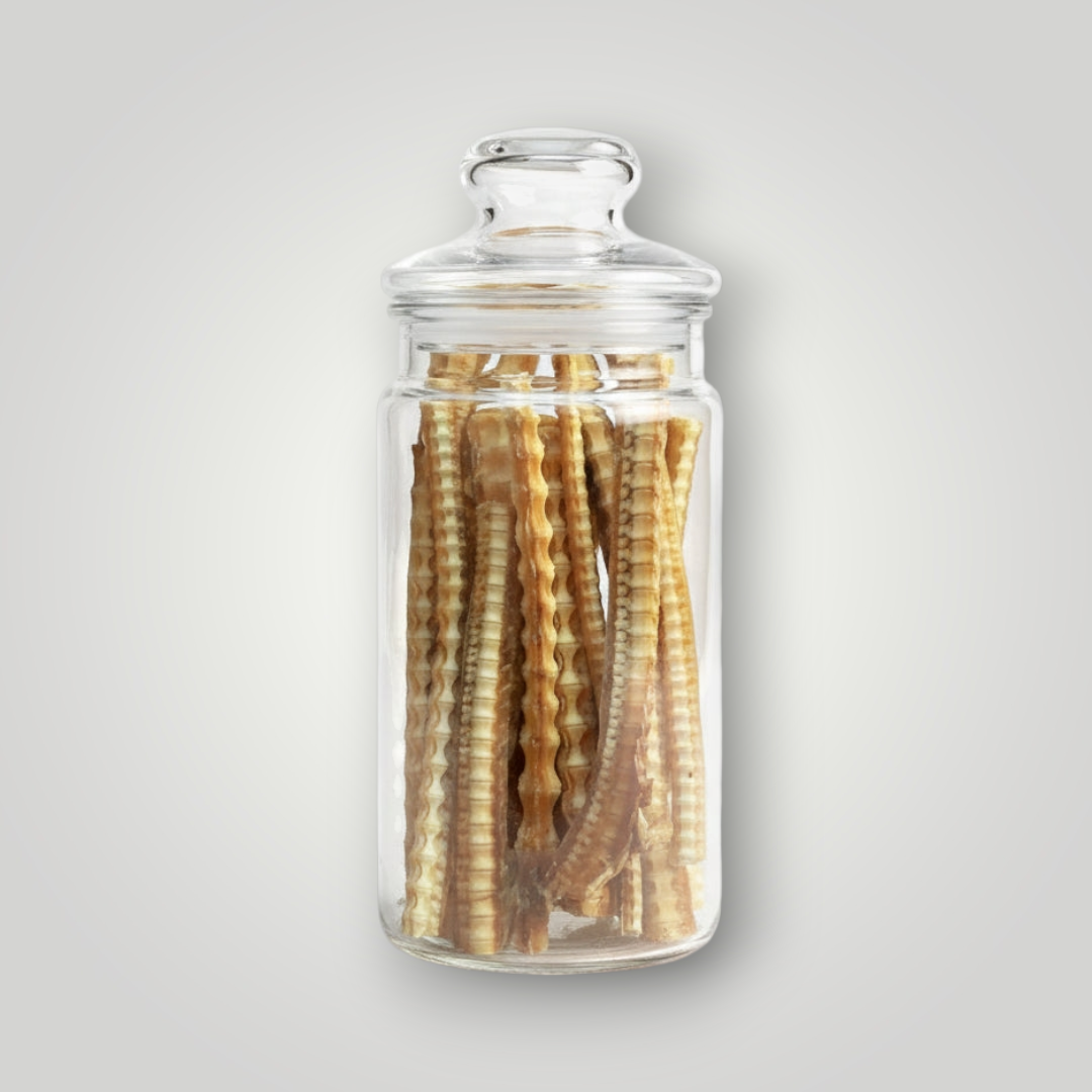 Dog treat featuring Treat Treat Gummy Shark Cartilage, a natural dog chew and cartilage treat for healthy pets.