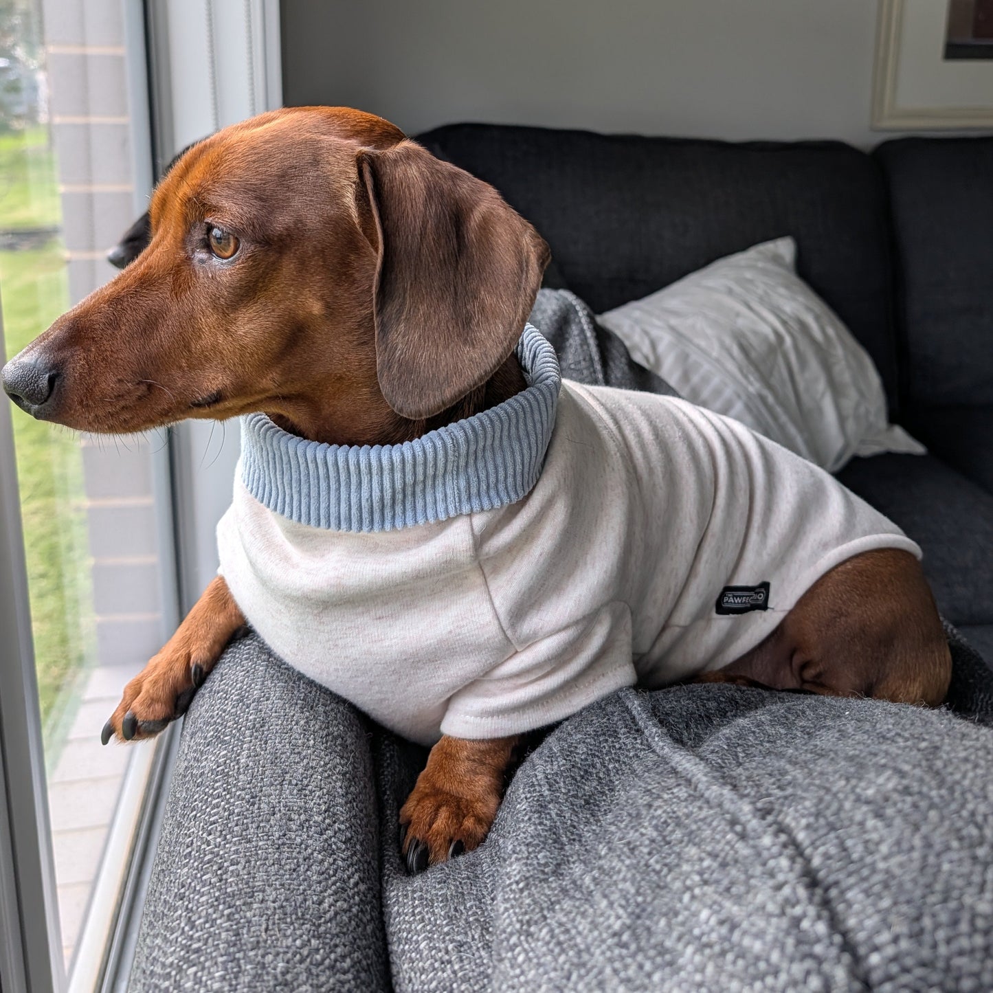 Long Dog Sweater