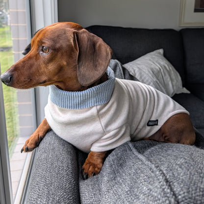 Long Dog Sweater