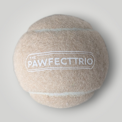 Squeaky tennis ball pet toy from The Pawfect Trio, featuring a bright yellow rubber ball with a squeaker inside for dogs to play with.