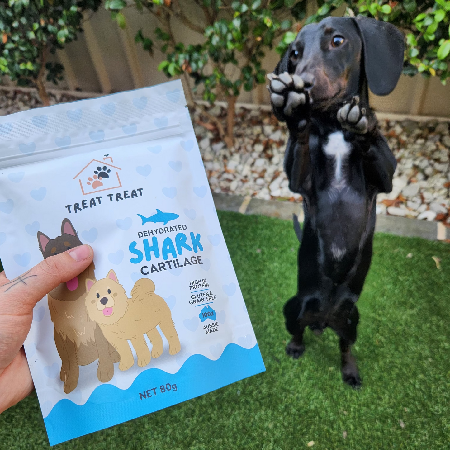 Gummy Shark Cartilage