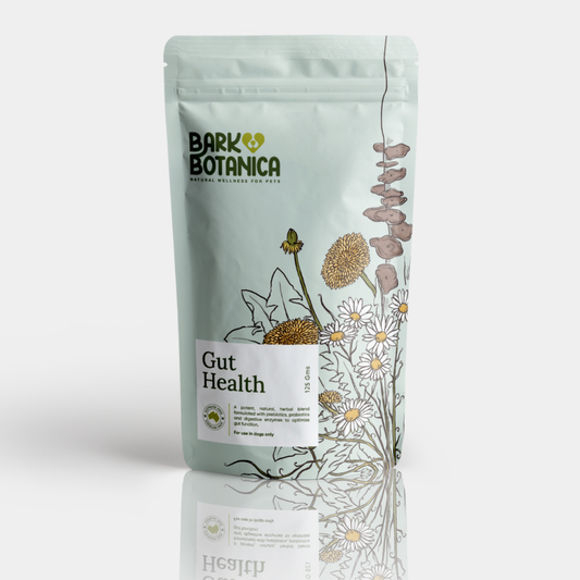 Gut Health