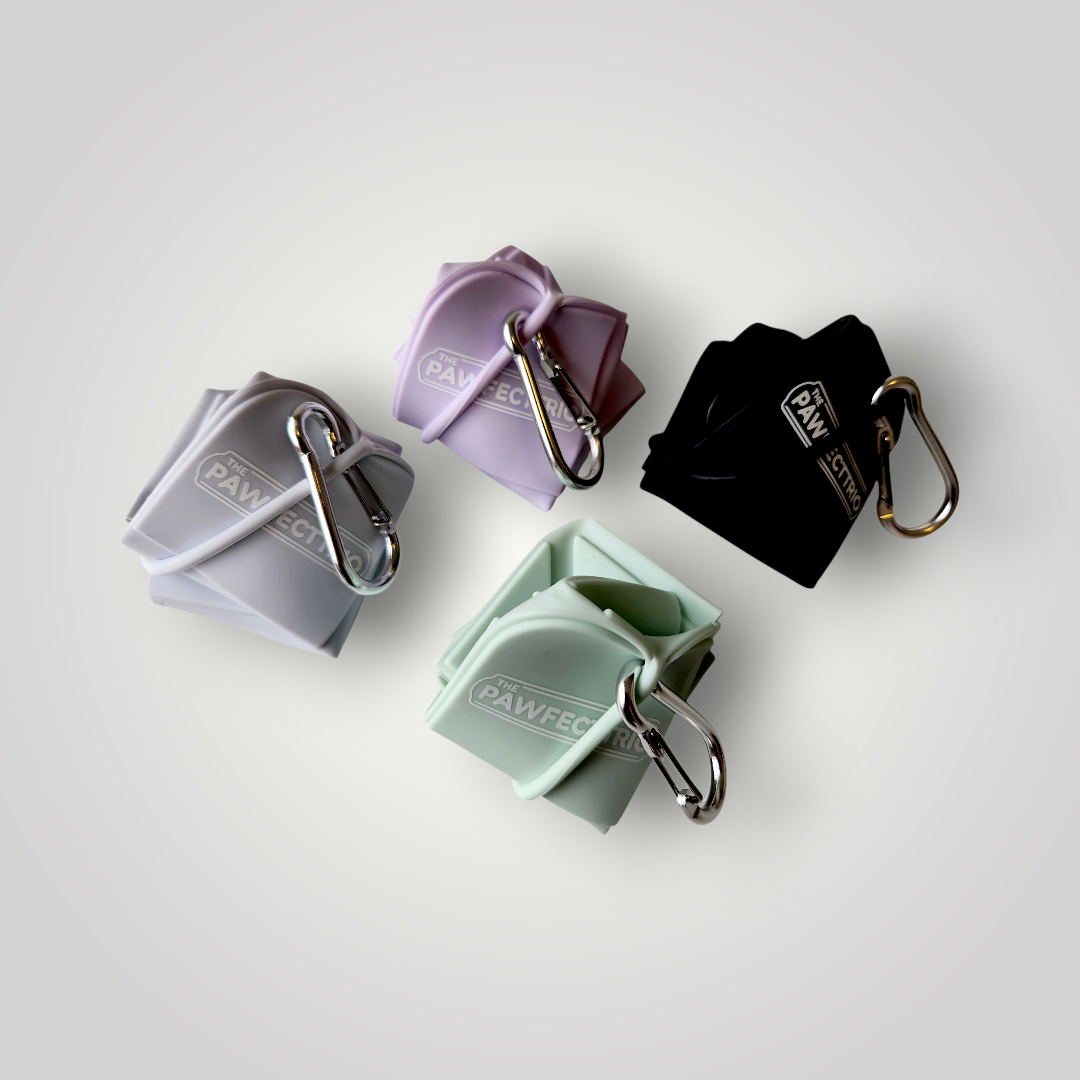Foldable dog travel bowl by The Pawfect Trio, portable pet accessory with collapsible design for easy feeding on the go.