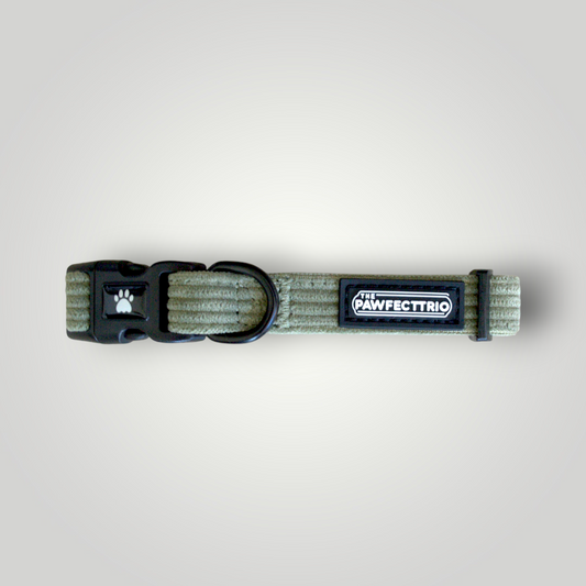 Corduroy Dog Collar