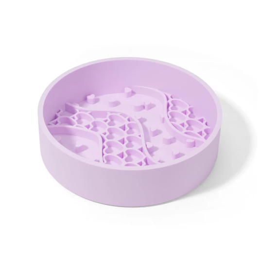 Slow Feeder Dog Bowl