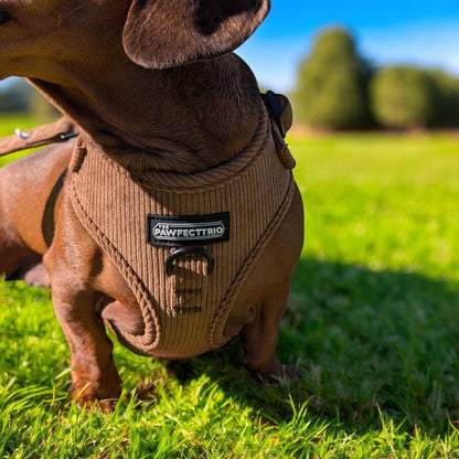 Pink corduroy dog harness from The Pawfect Trio, featuring adjustable straps and a secure buckle for pet comfort.