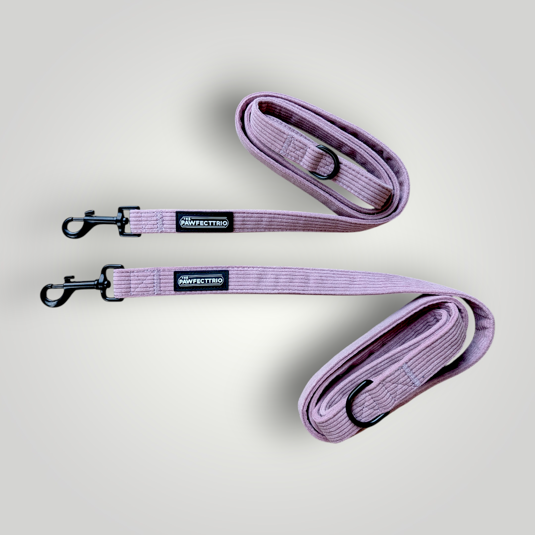 Candy corduroy dog leash from The Pawfect Trio showing colorful striped fabric with metal clasp attachment.