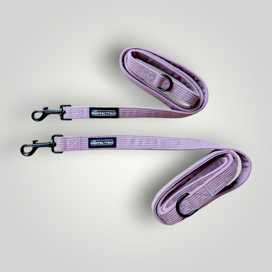 Candy corduroy dog leash from The Pawfect Trio showing colorful striped fabric with metal clasp attachment.