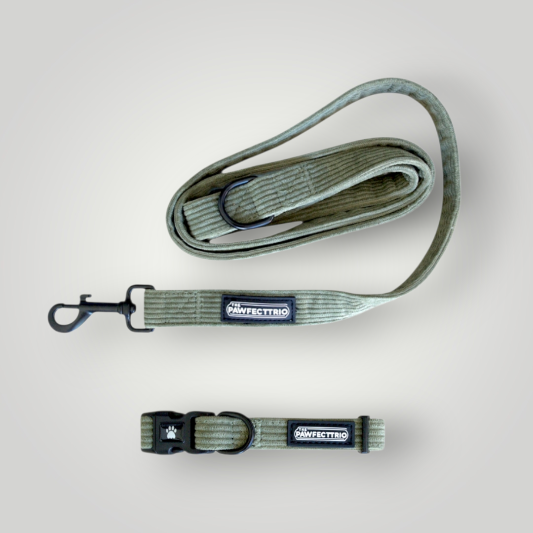 Pawfect Duo Bundle -  The Pawfect Trio