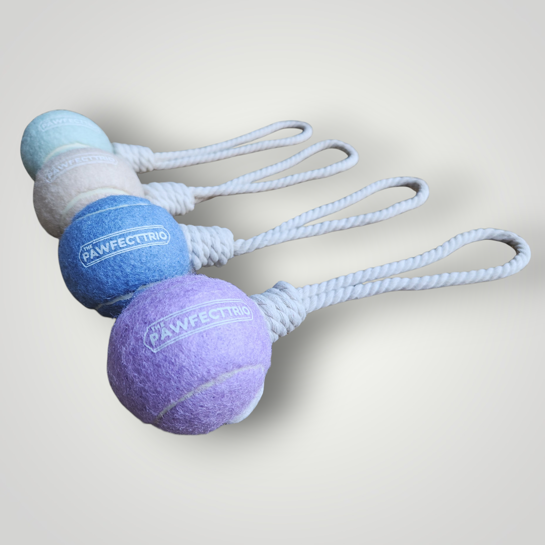 Tennis Ball Rope Toy - The Pawfect Trio
