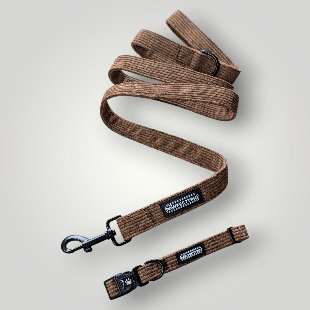 The Walk Duo pet accessories by The Pawfect Trio, featuring a stylish leash and harness for dogs, shown in a close-up image.