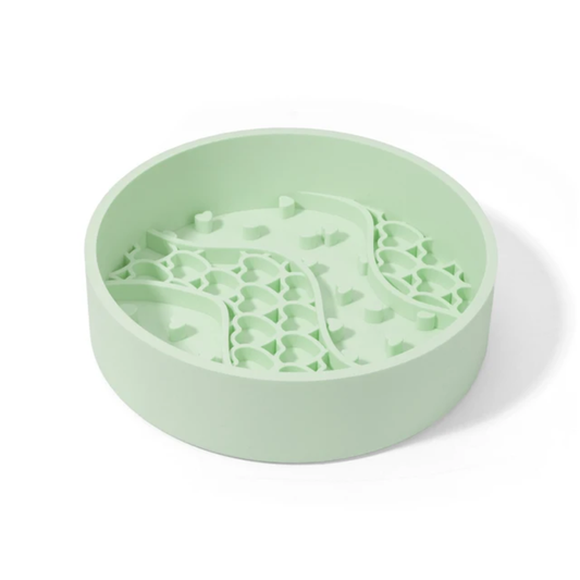 Slow Feeder Dog Bowl