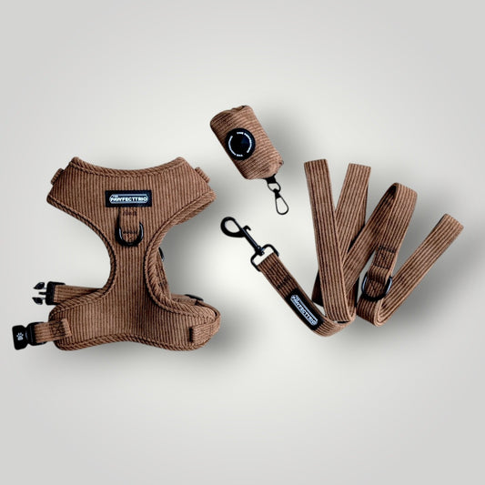 Dog bundle from The Pawfect Trio featuring an everyday walk set with collar, leash, and harness in various colors.